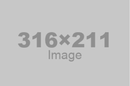 Alt Text
