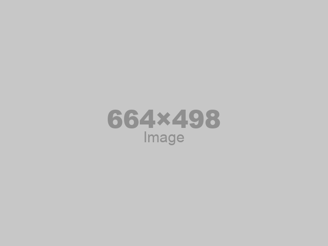 Title Field of Asset Is Used for Caption Text in Default Settings Description Field of Asset Is Used for Alt Text in Default Settings