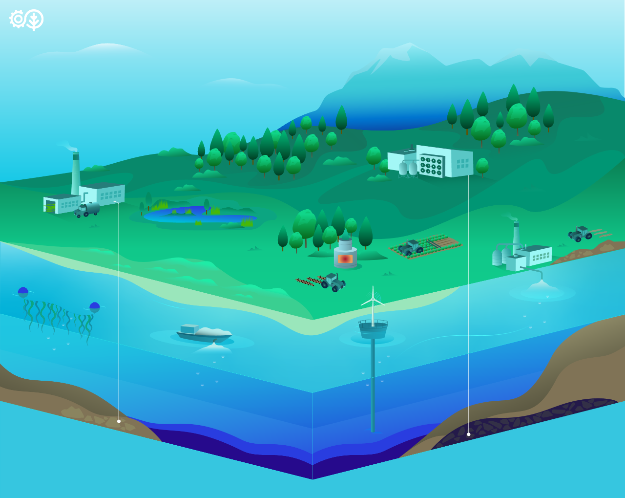 An illustrated guide to carbon removal