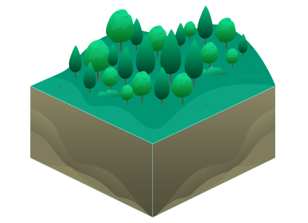 Afforestation and reforestation