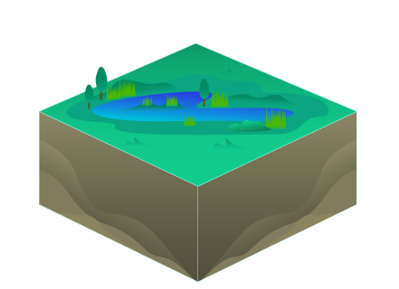 Wetland restoration