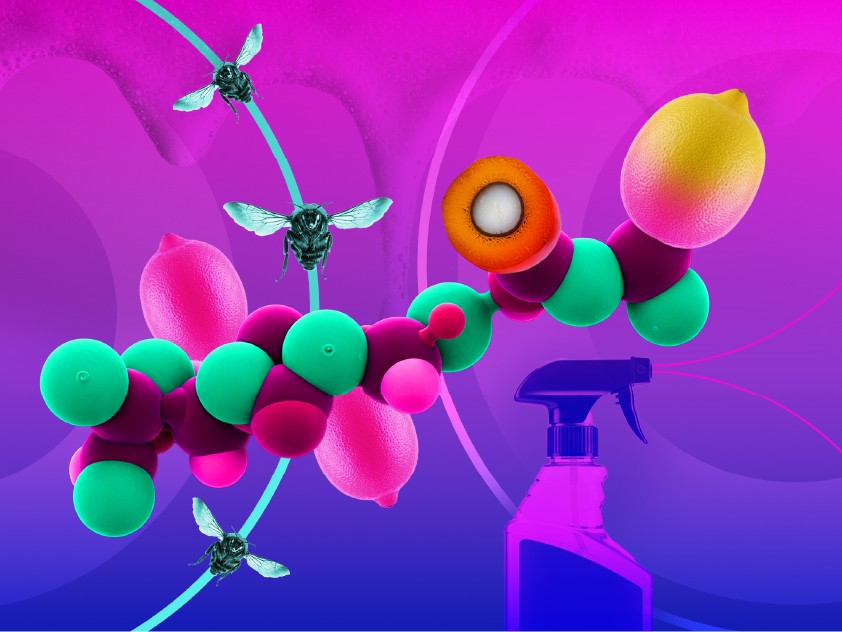 Biosurfactants: the future of personal care and cleaning products?