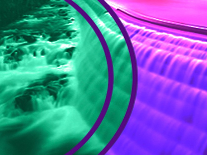The water energy nexus