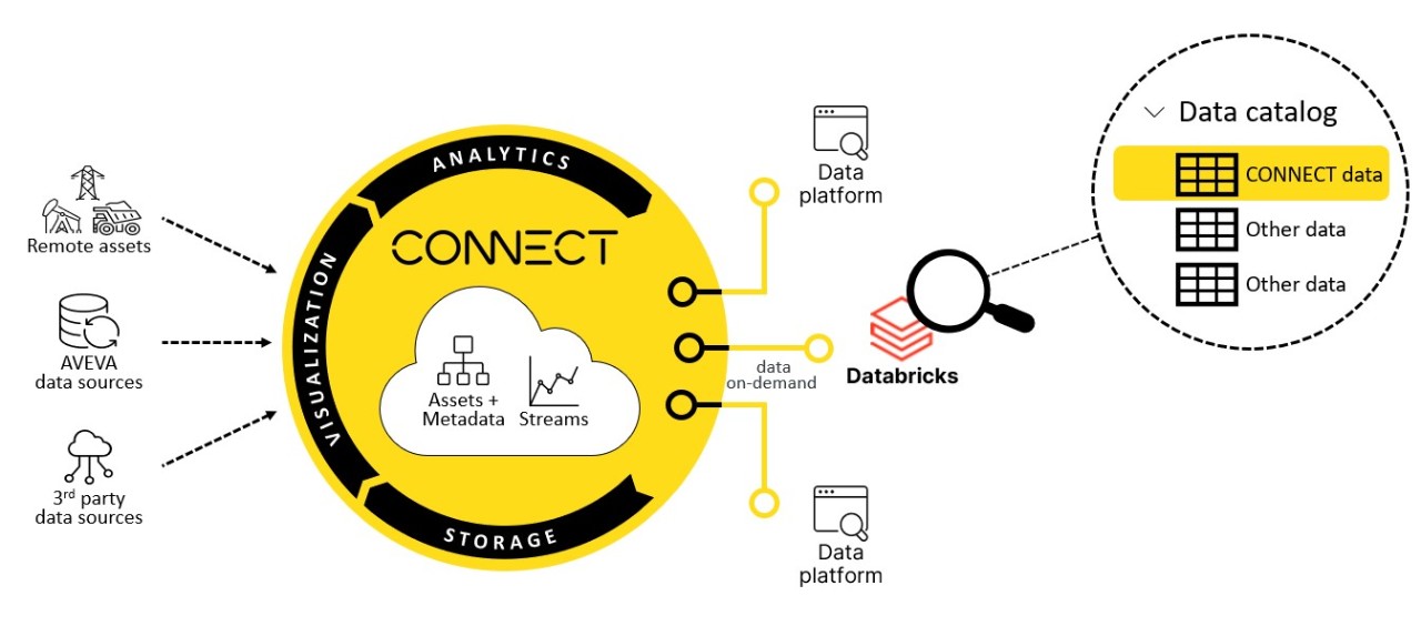 CONNECT data can be directly accessed in Databricks