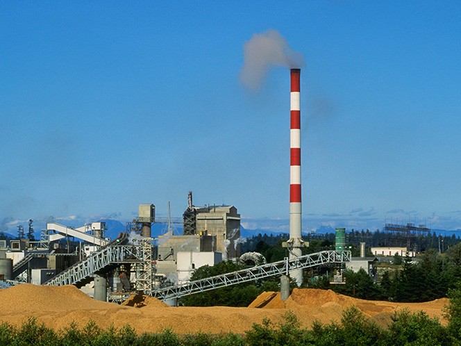 pulp mill
