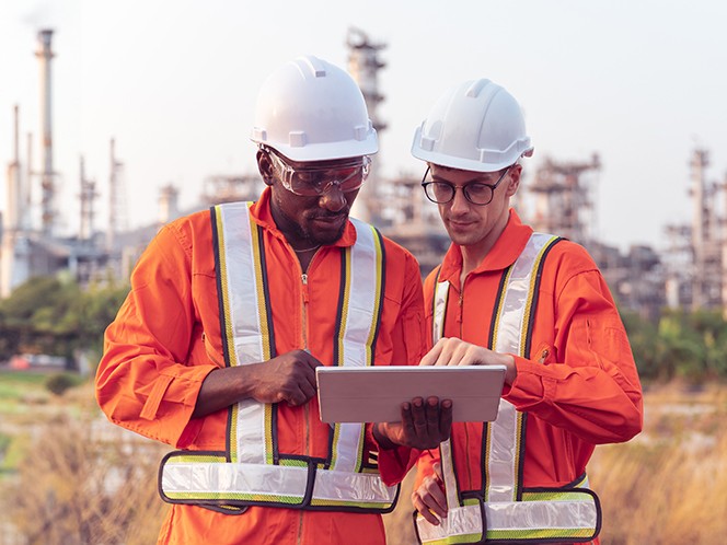 Discover crucial New insights