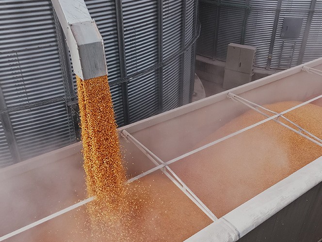 New technology has to play in traceability