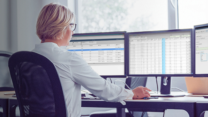 What are AVEVA PI System developer technologie