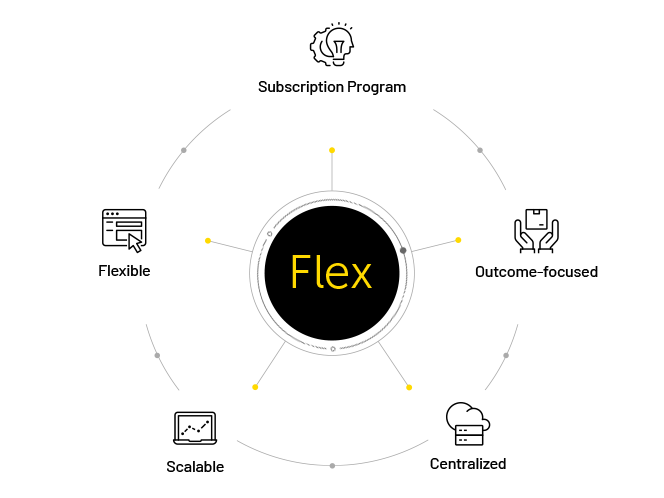 programa flex